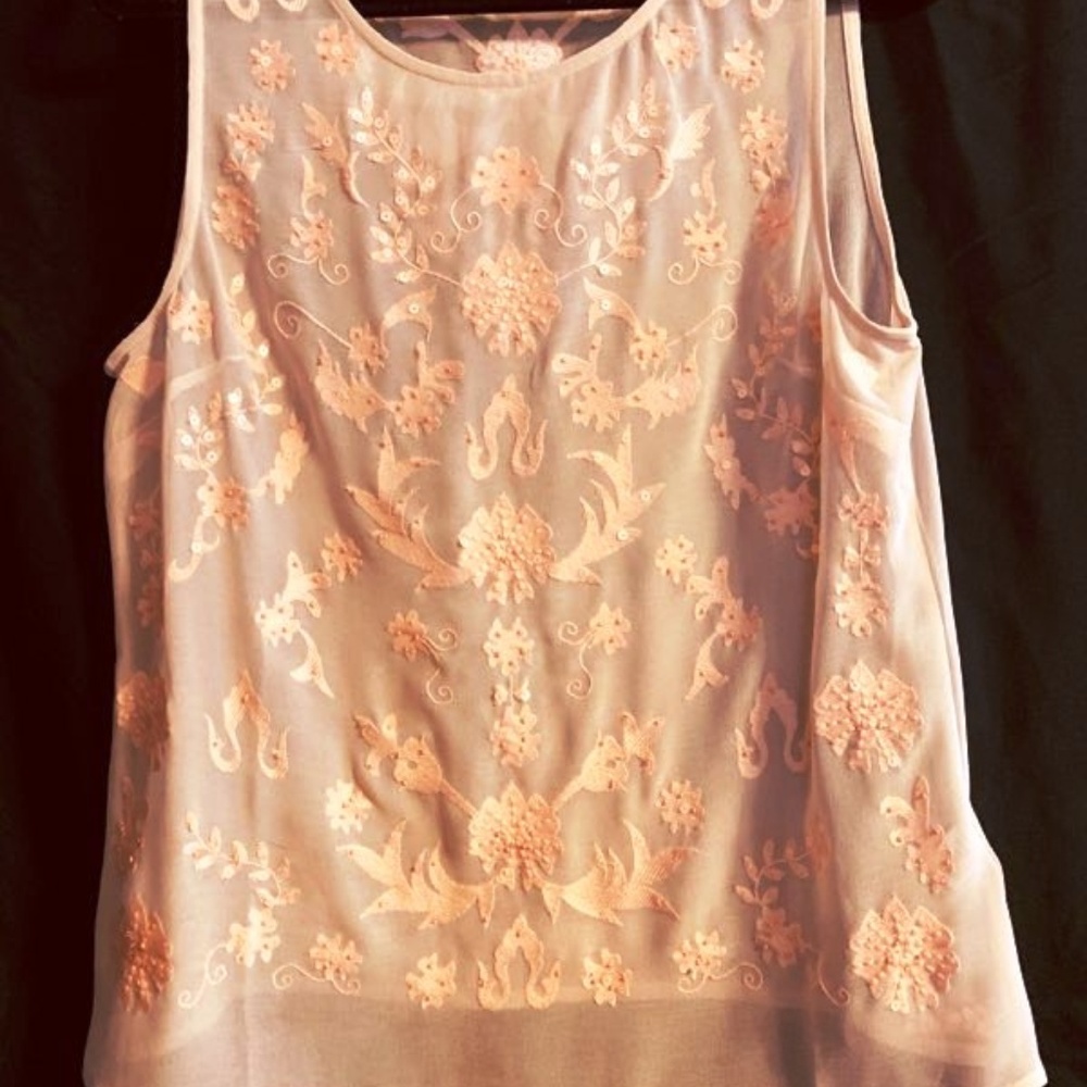 Stunning Sheer Peach shell top